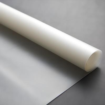 ISO9001 and SGS Certified Green Transparent PVB Film for Laminated Glass Interlayer